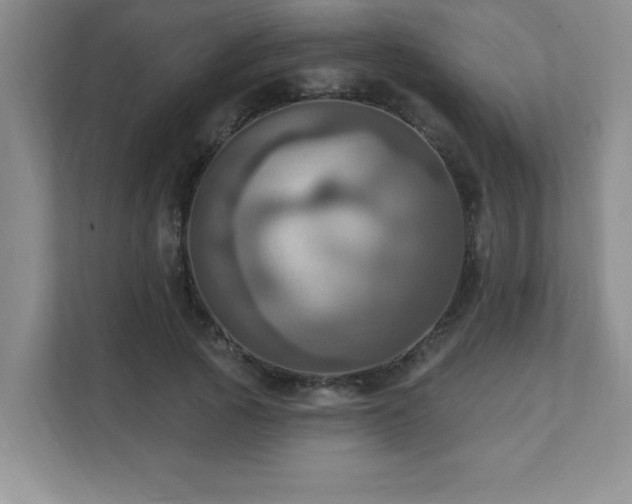 X0000111360737200907101230