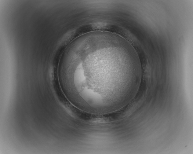 X0000111360738200907101230