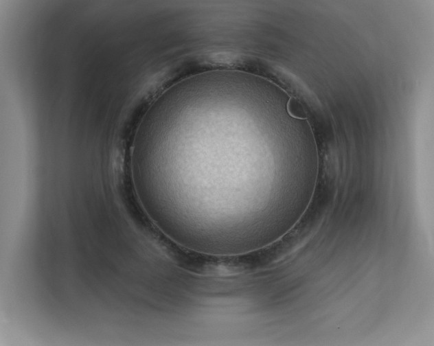 X0000111360739200907101230