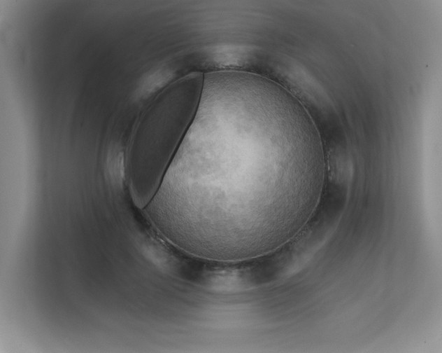 X0000111360740200907101230