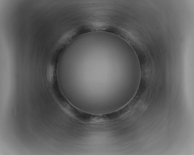 X0000111360742200907101230