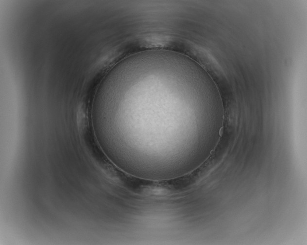 X0000111360743200907101230