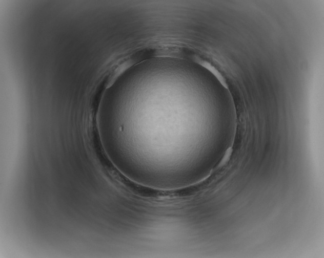 X0000111360744200907101230