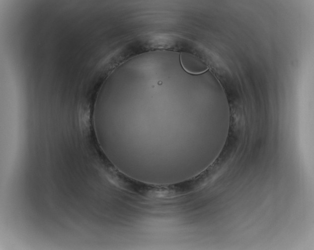 X0000111360745200907101230