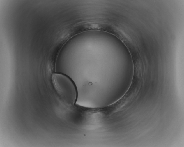 X0000111360747200907101230