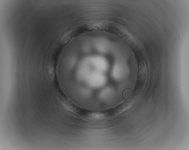 X0000111360749200907101230