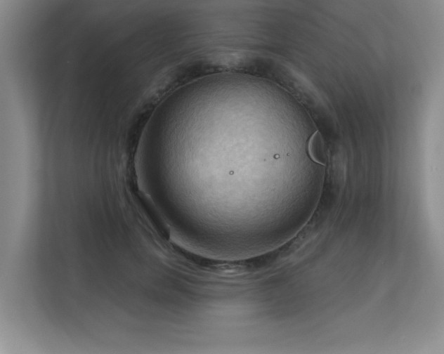 X0000111360750200907101230