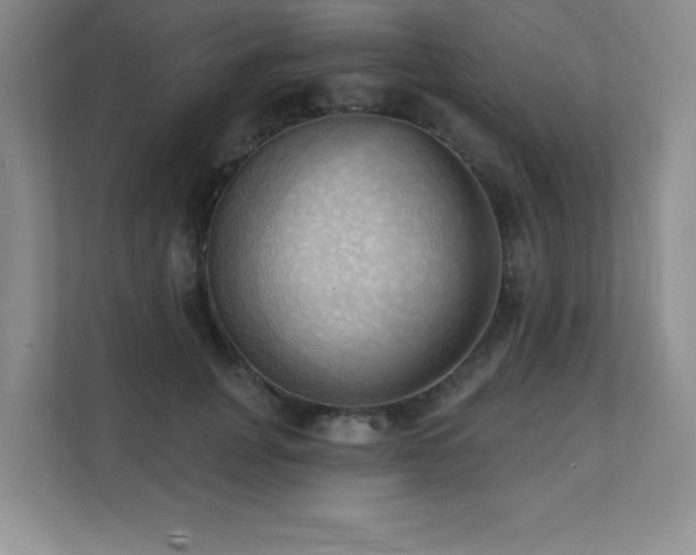 X0000111360751200907101230