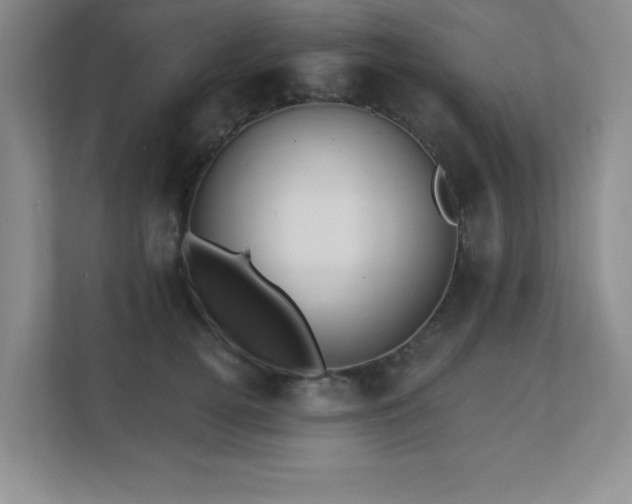 X0000111360752200907101230