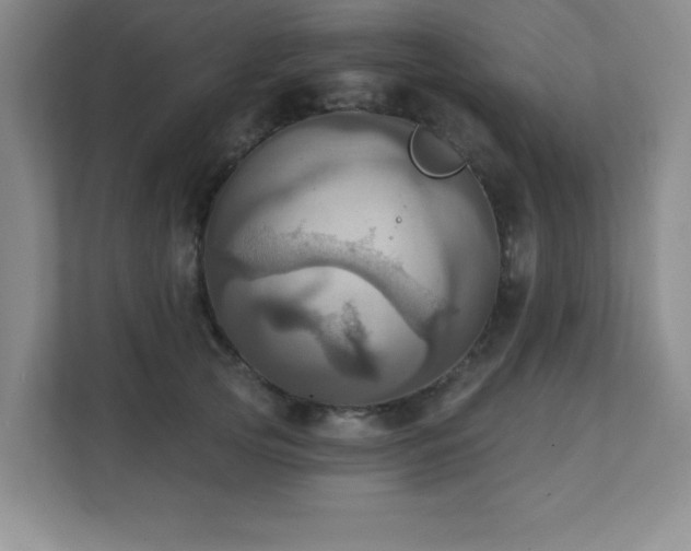 X0000111360753200907101230