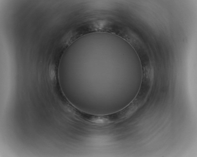 X0000111360754200907101230