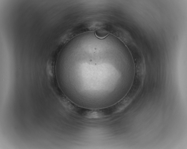 X0000111360755200907101230