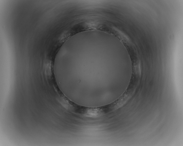 X0000111360757200907101230