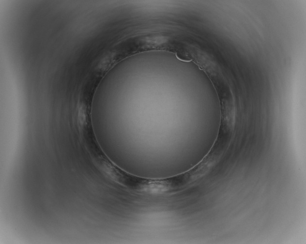 X0000111360758200907101230