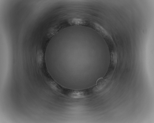 X0000111360760200907101230