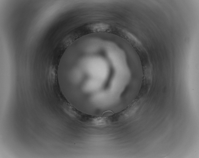 X0000111360761200907101230