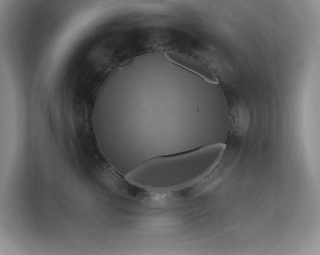 X0000111360762200907101230