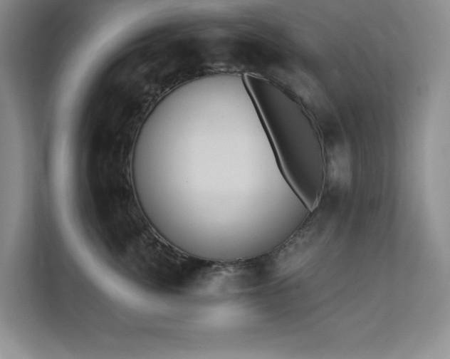 X0000111360764200907101230