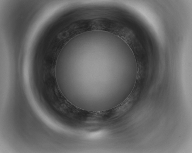 X0000111360765200907101230