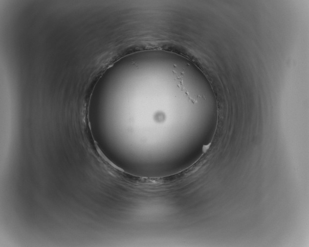 X0000111360768200907101230
