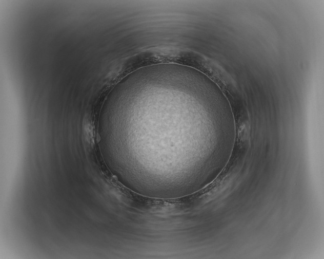 X0000111360772200907101230