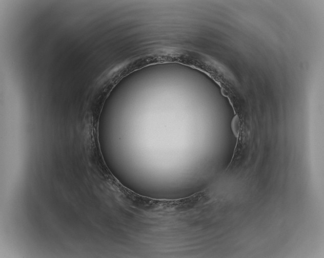 X0000111360773200907101230