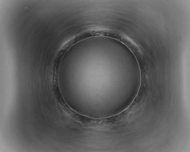 X0000111360775200907101230