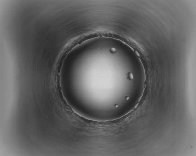 X0000111360776200907101230