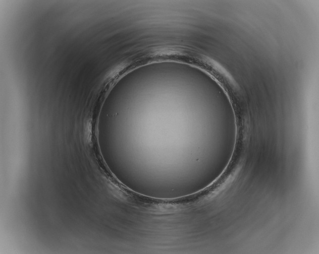 X0000111360777200907101230