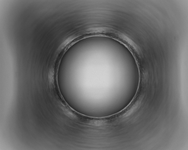 X0000111360778200907101229