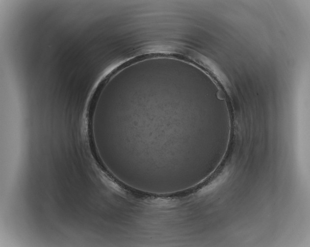X0000111360779200907101229