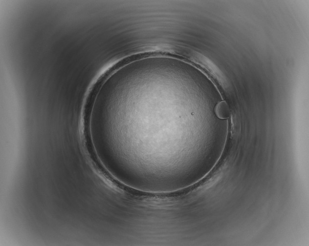 X0000111360780200907101229