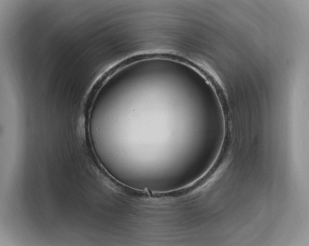 X0000111360781200907101229