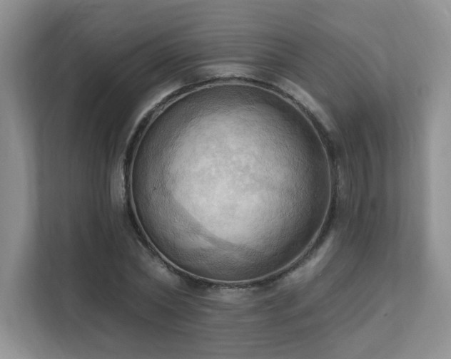 X0000111360782200907101229