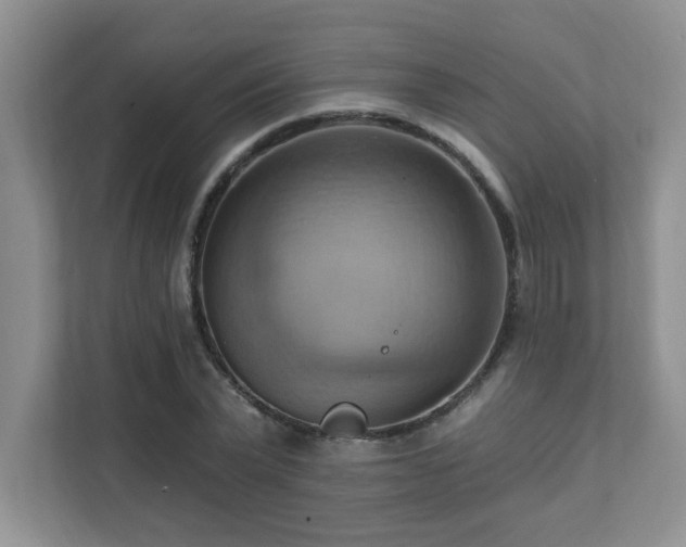 X0000111360783200907101229