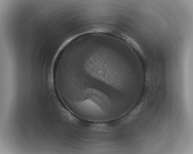 X0000111360784200907101229