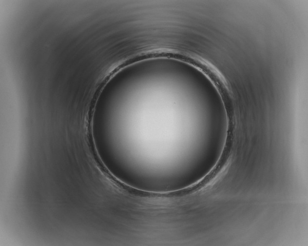 X0000111360785200907101229