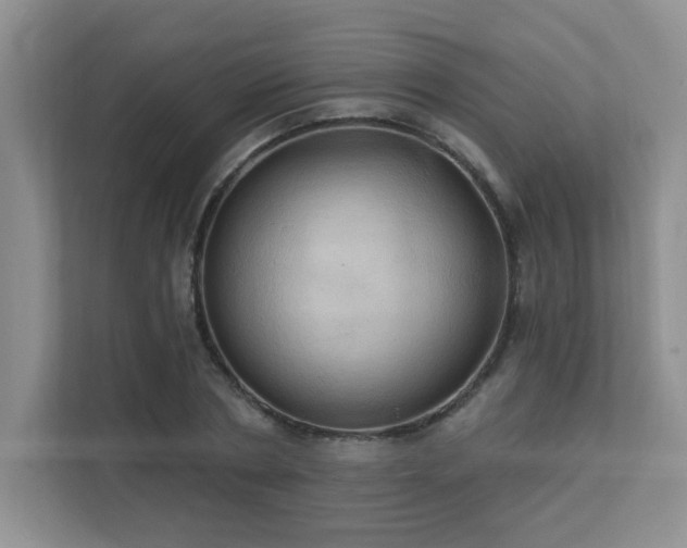 X0000111360786200907101229