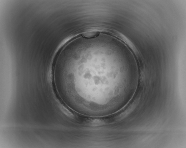 X0000111360787200907101229