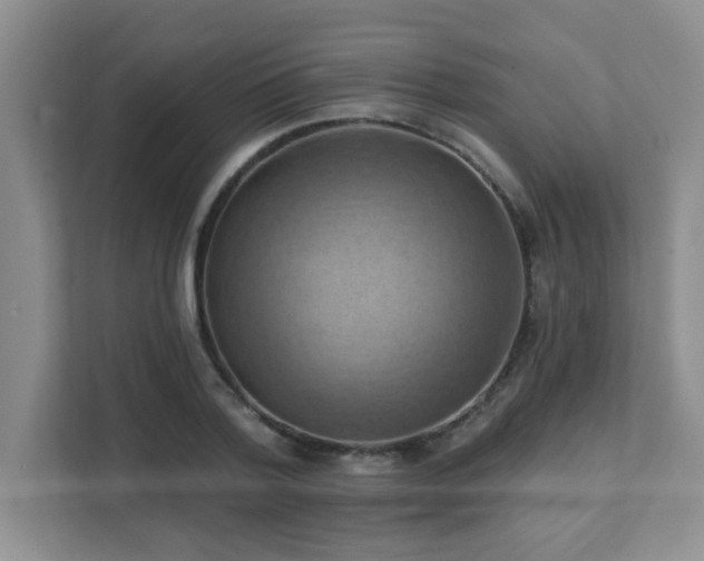 X0000111360788200907101229