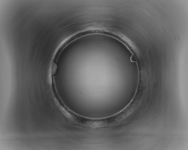X0000111360791200907101229