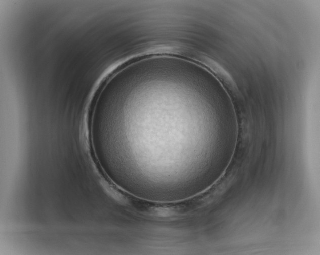 X0000111360792200907101229