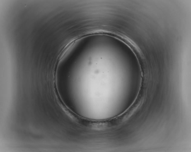X0000111360793200907101229
