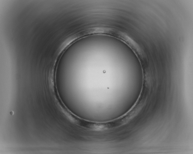 X0000111360794200907101229