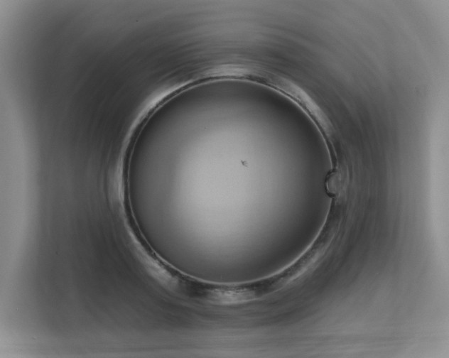 X0000111360795200907101229