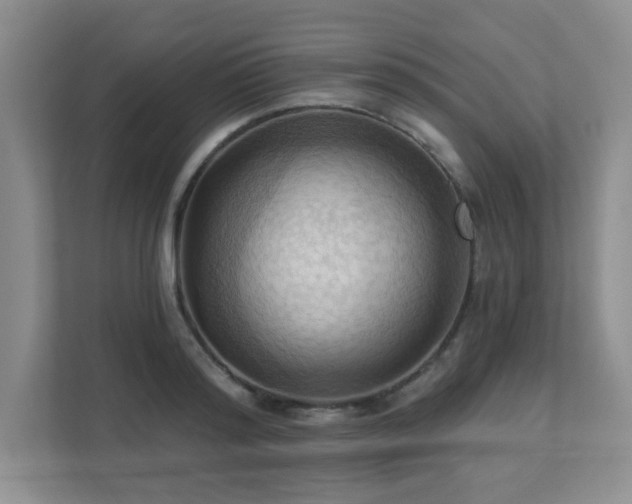 X0000111360796200907101229