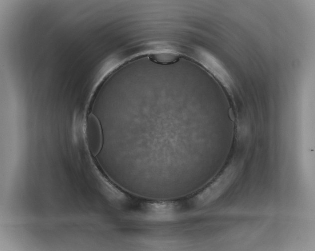 X0000111360797200907101229