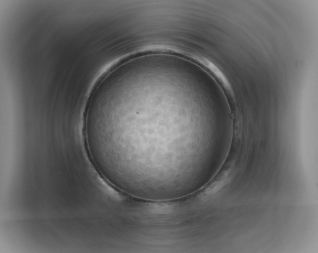 X0000111360799200907101229