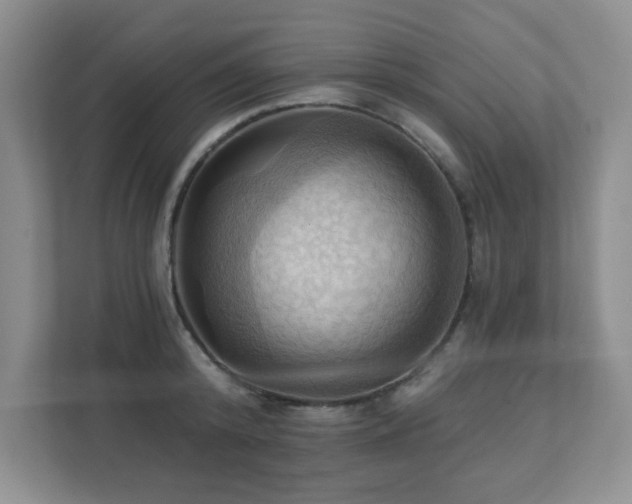 X0000111360800200907101229