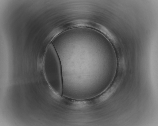 X0000111360801200907101229
